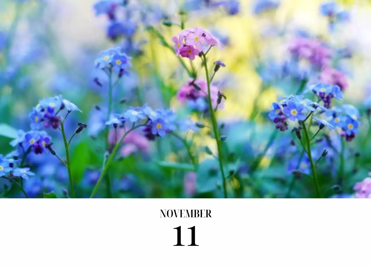 黒と白のシンプルな花写真カレンダー