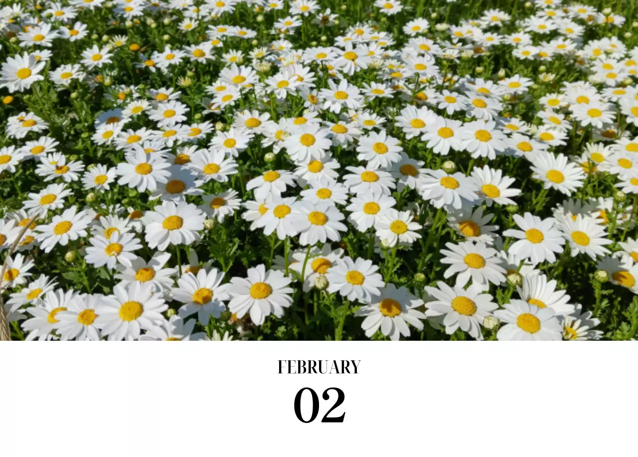 黒と白のシンプルな花写真カレンダー