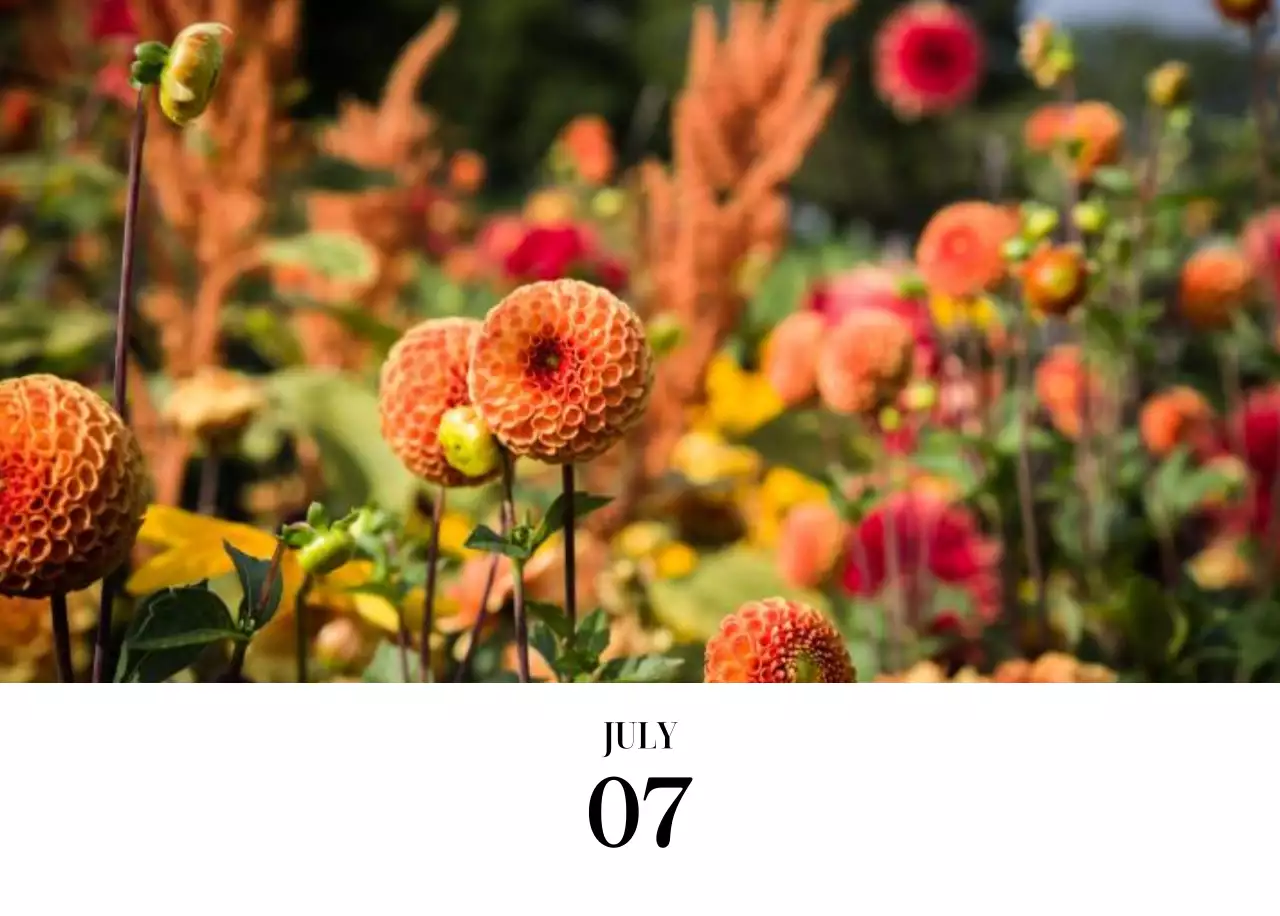 黒と白のシンプルな花写真カレンダー