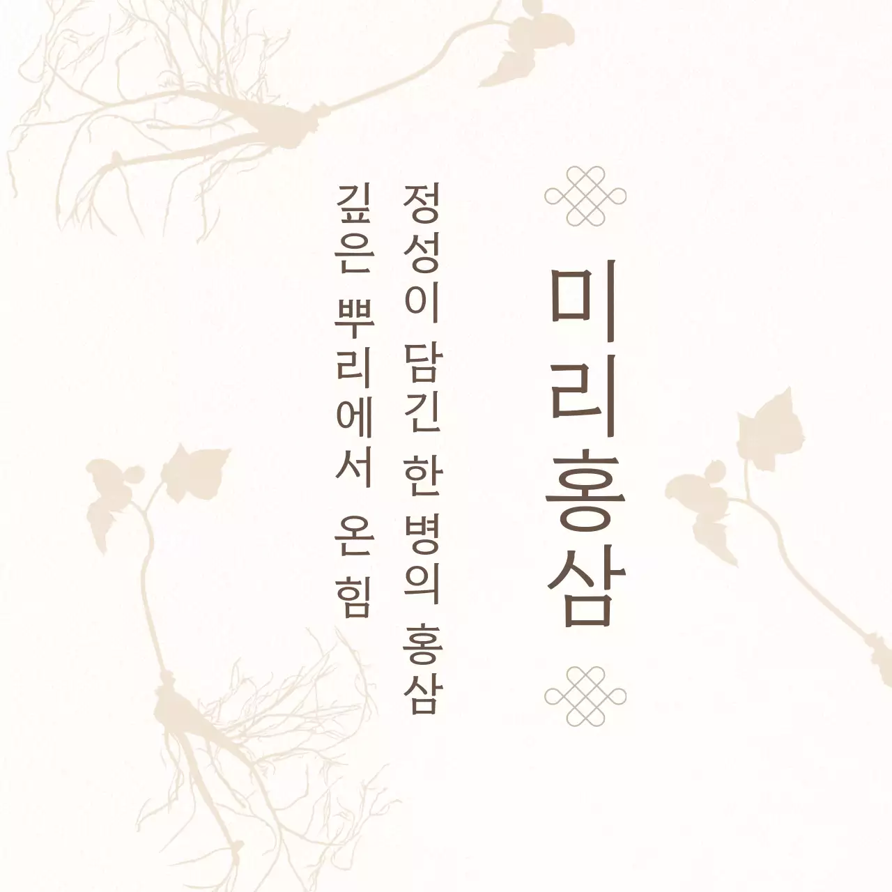 베이지 전통 추석 홍보