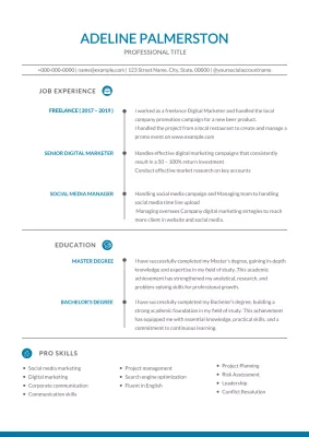 Blue professional resume document