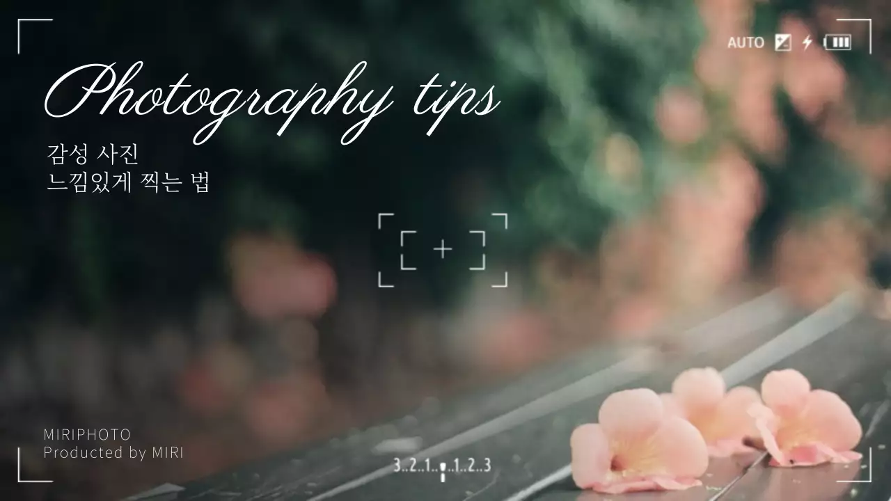 핑크빛의 감성 사진 느낌있게 찍는법 유튜브 썸네일