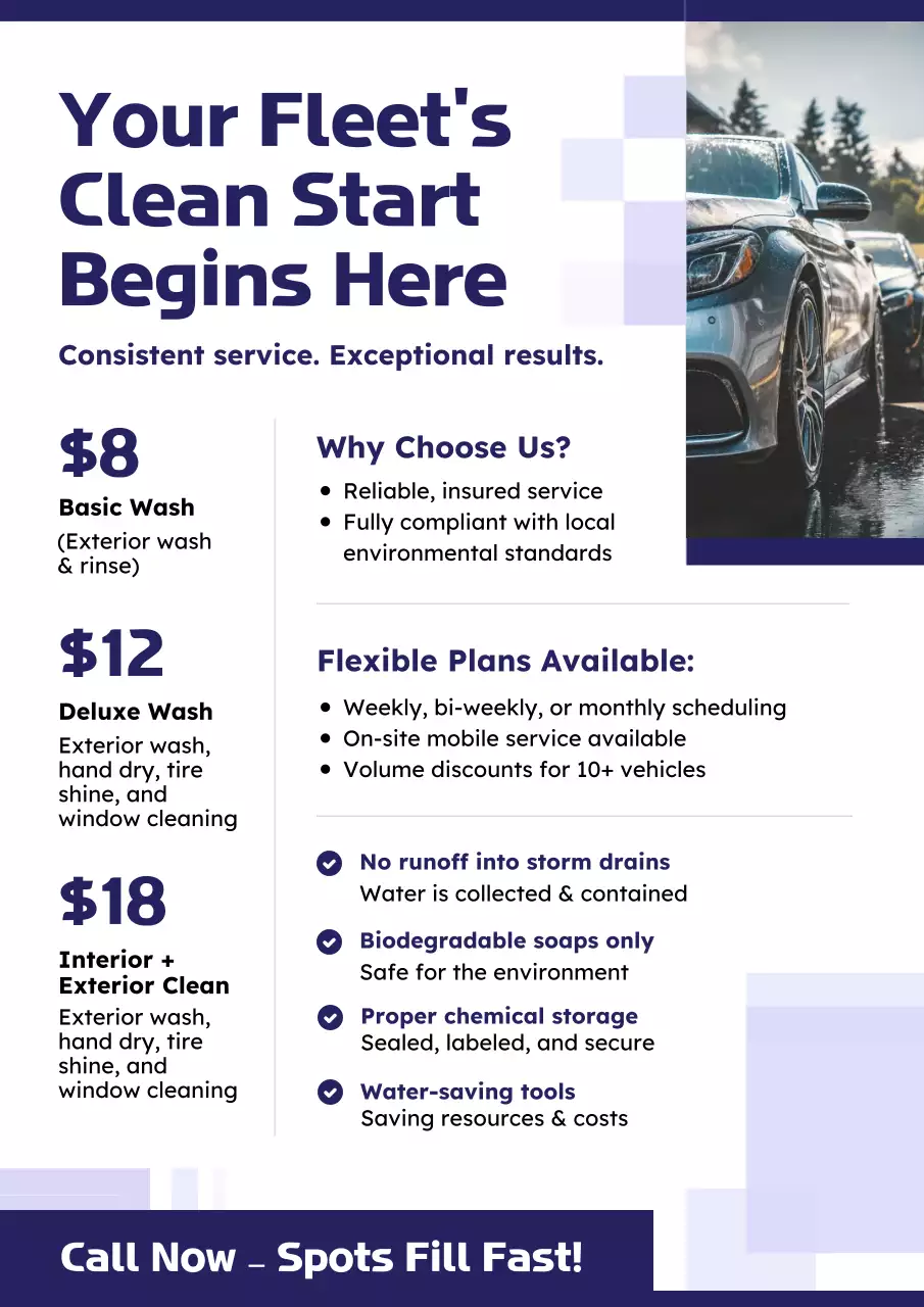 Purple and Green Lime Fleet Wash Proposal Poster