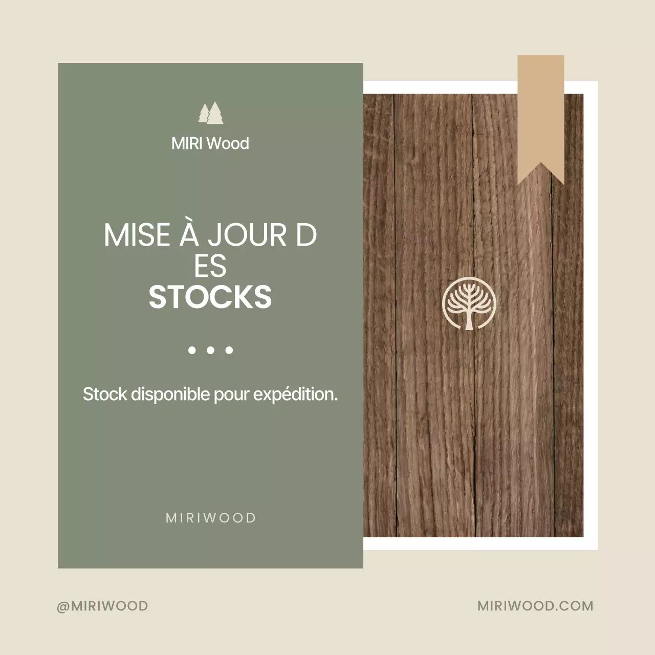 Guide des stocks Khaki Neat