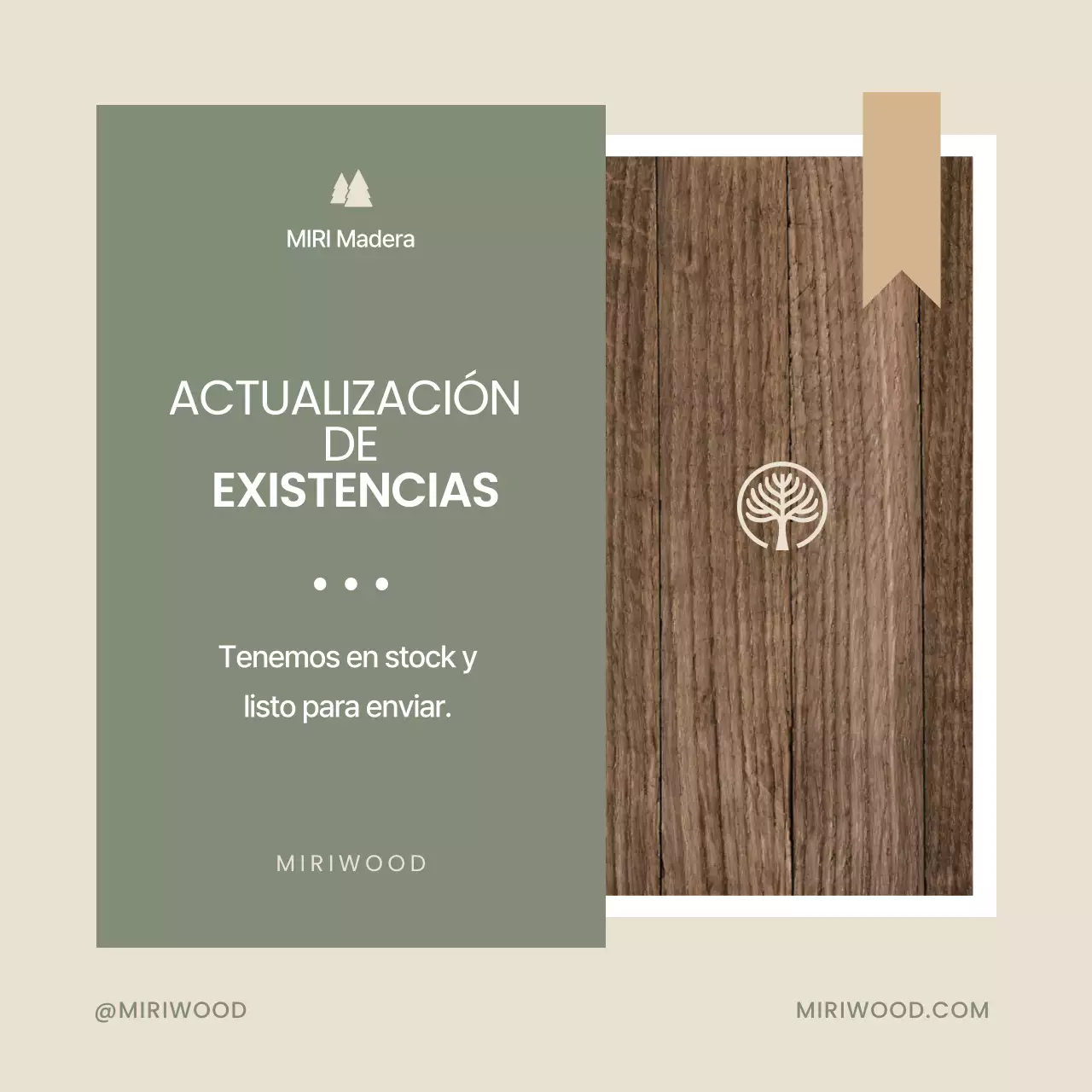 Guía de stock de Khaki Neat