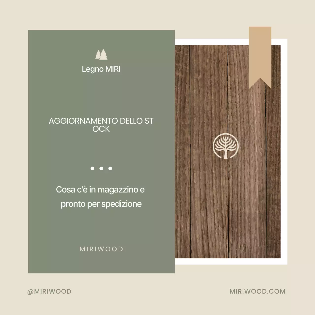 Guida alle scorte Khaki Neat