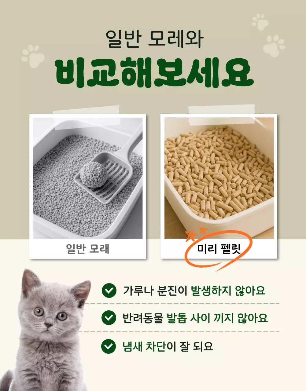 베이지 심플 반려동물 제품 홍보