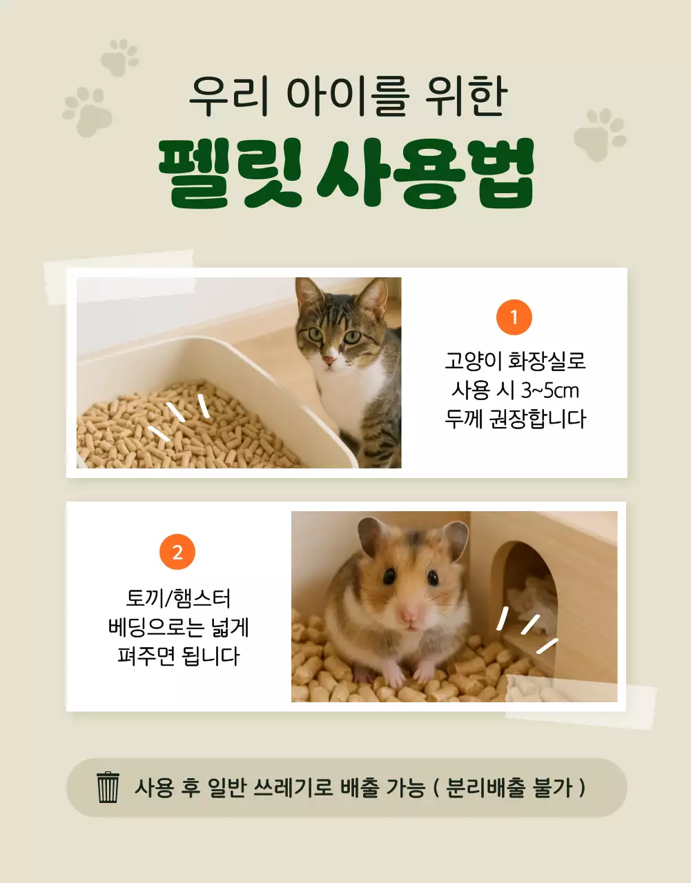 베이지 심플 반려동물 제품 홍보