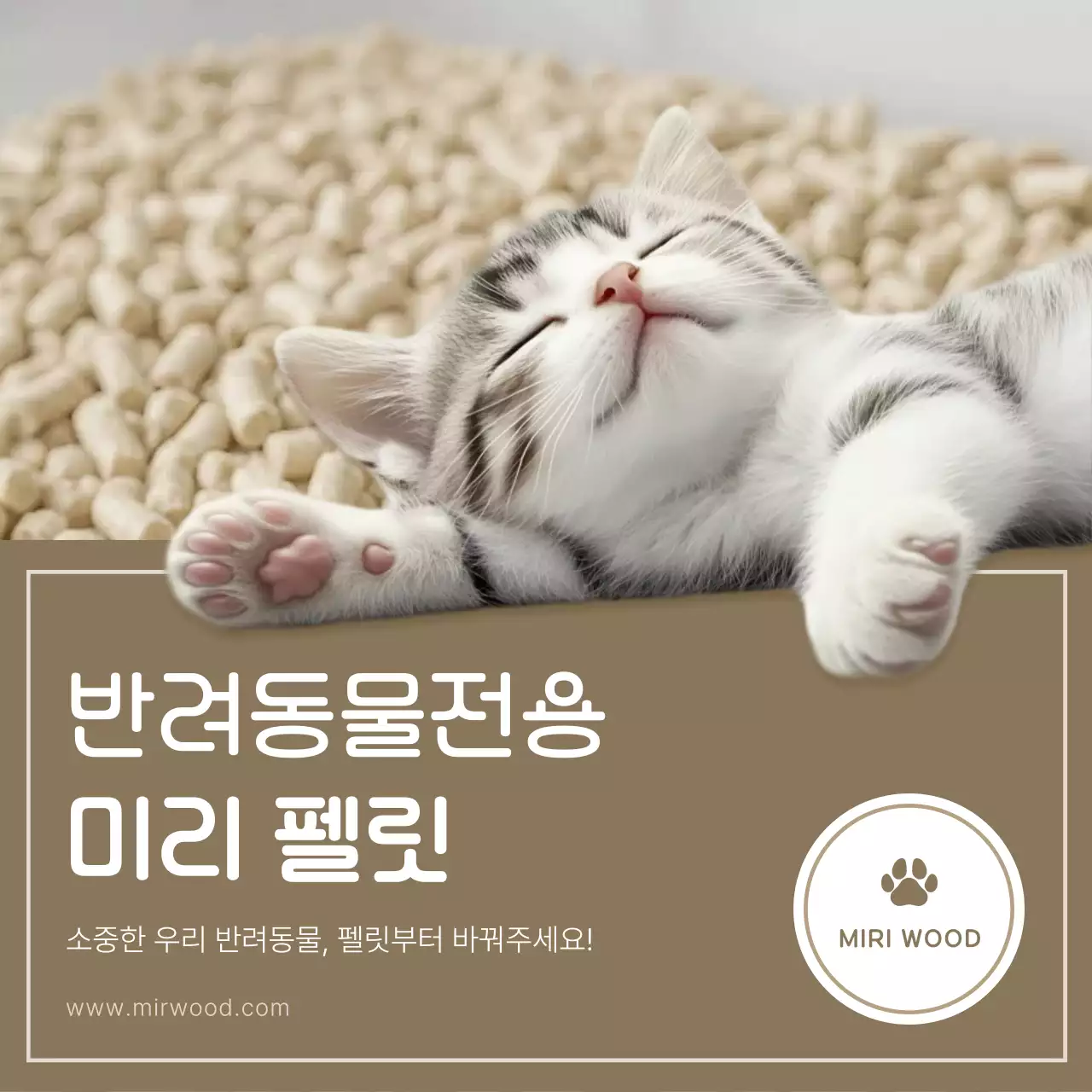 베이지 심플 반려동물 펠릿 광고