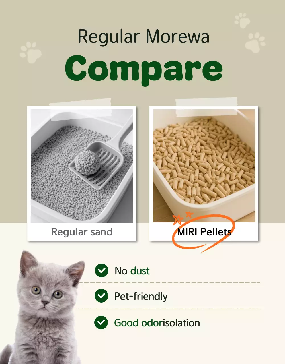 Beige Simple Pet Product Promotion