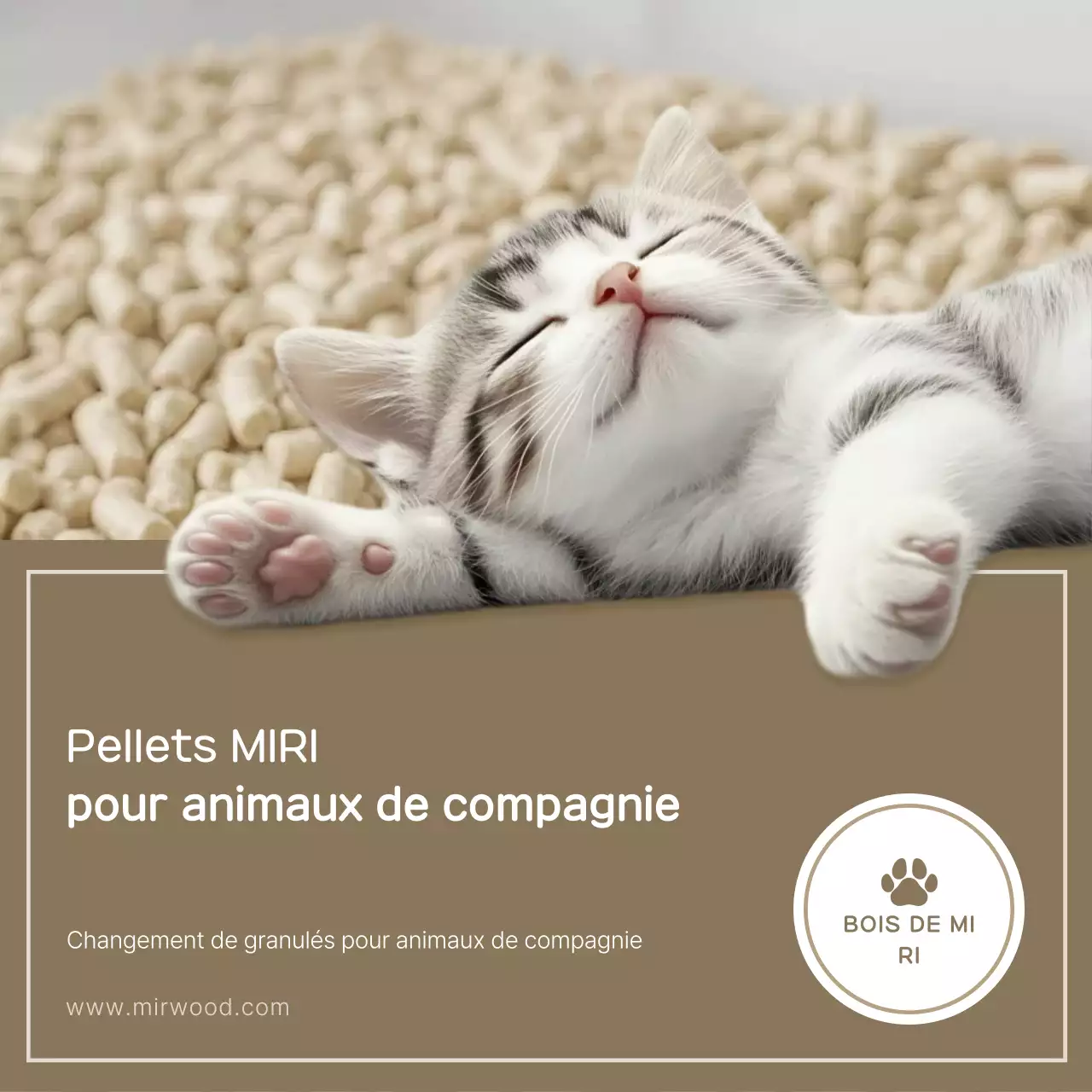 Publicité pour granulés beiges simples pour animaux de compagnie