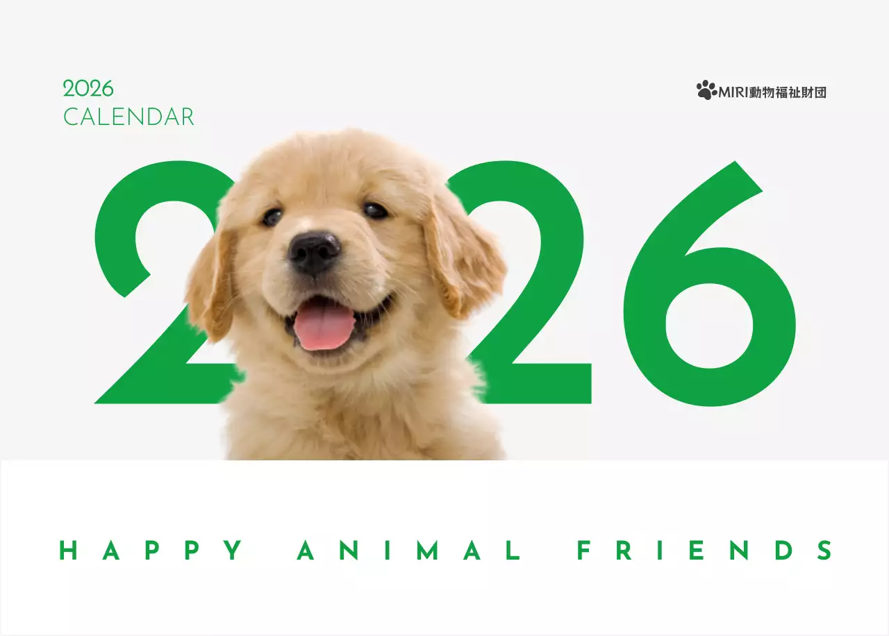 緑色のポイントカラーに子犬の写真とかわいいメッセージの入ったカレンダー