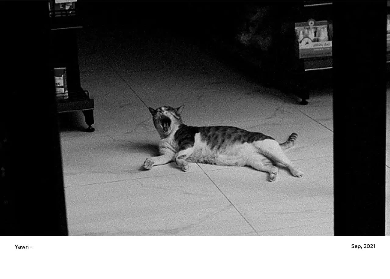 すっきりとした都会的な雰囲気のフォトカレンダー