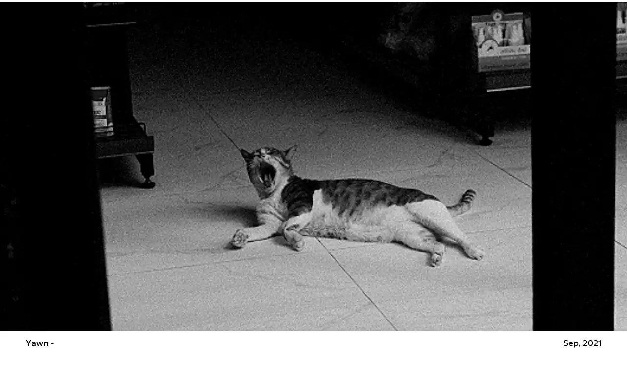 すっきりとした都会的な雰囲気のフォトカレンダー