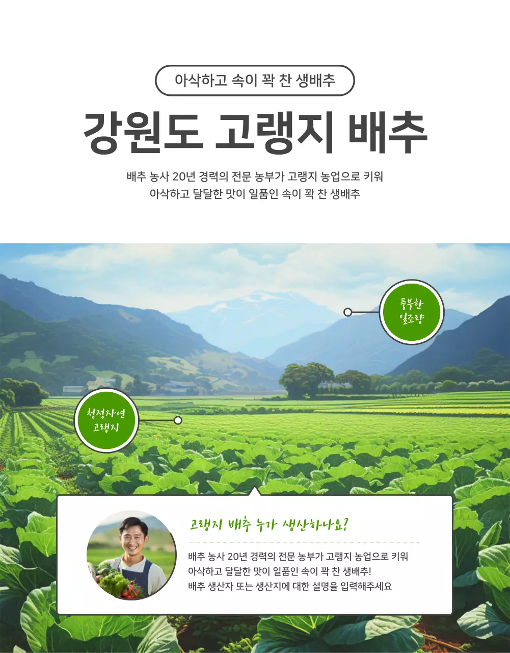 초록색과 연두색의 기본적인 배추 판매 홍보