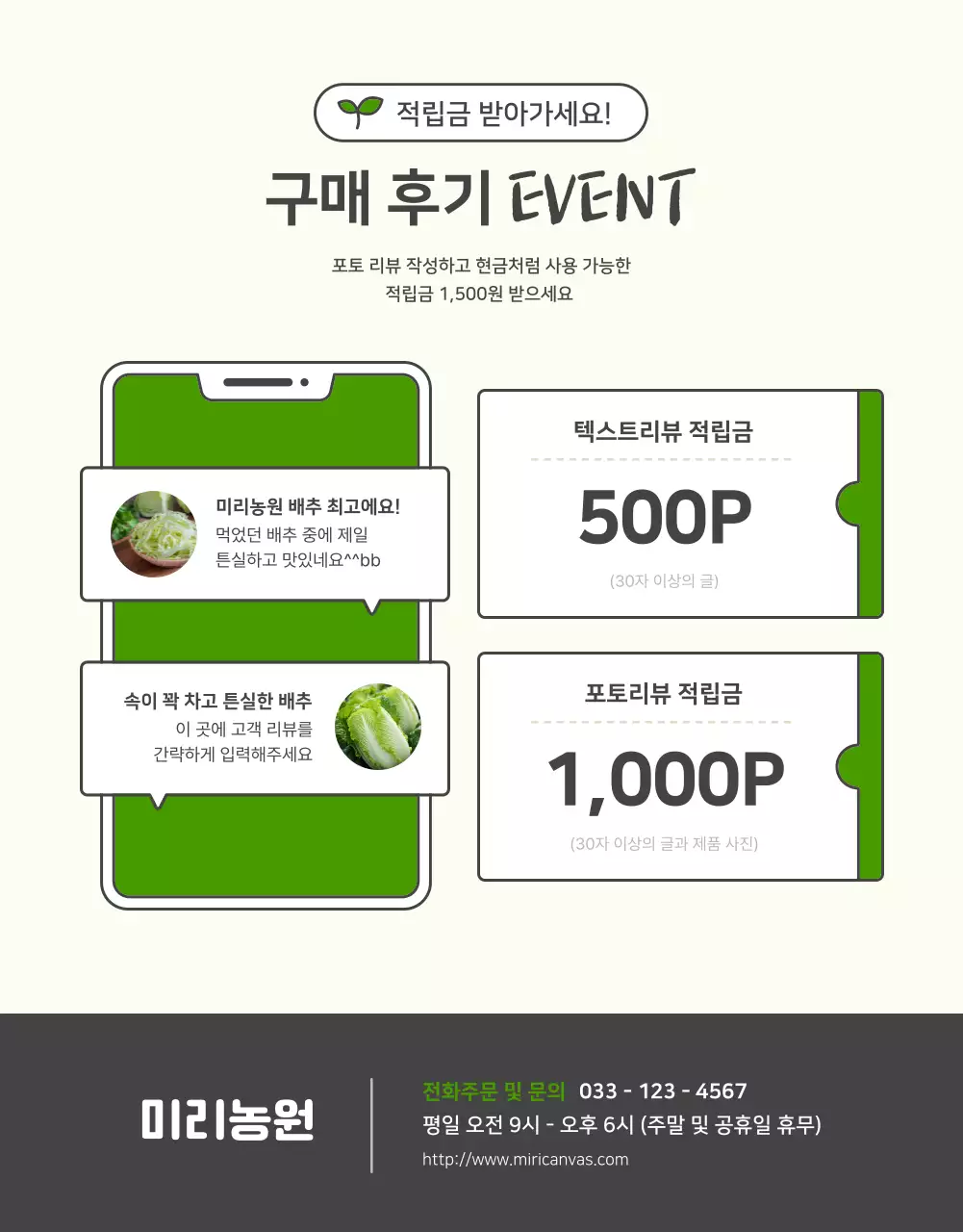 초록색과 연두색의 기본적인 배추 판매 홍보