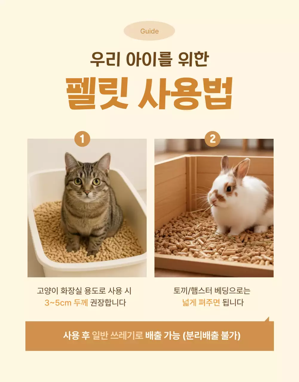 베이지 아기자기한 반려동물 광고