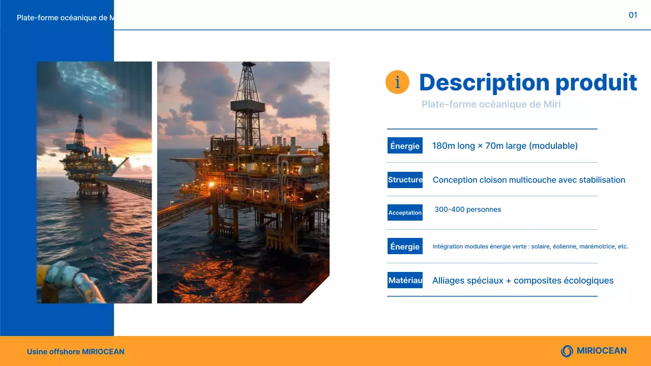 Présentation des produits Blue Modern Marine Plant