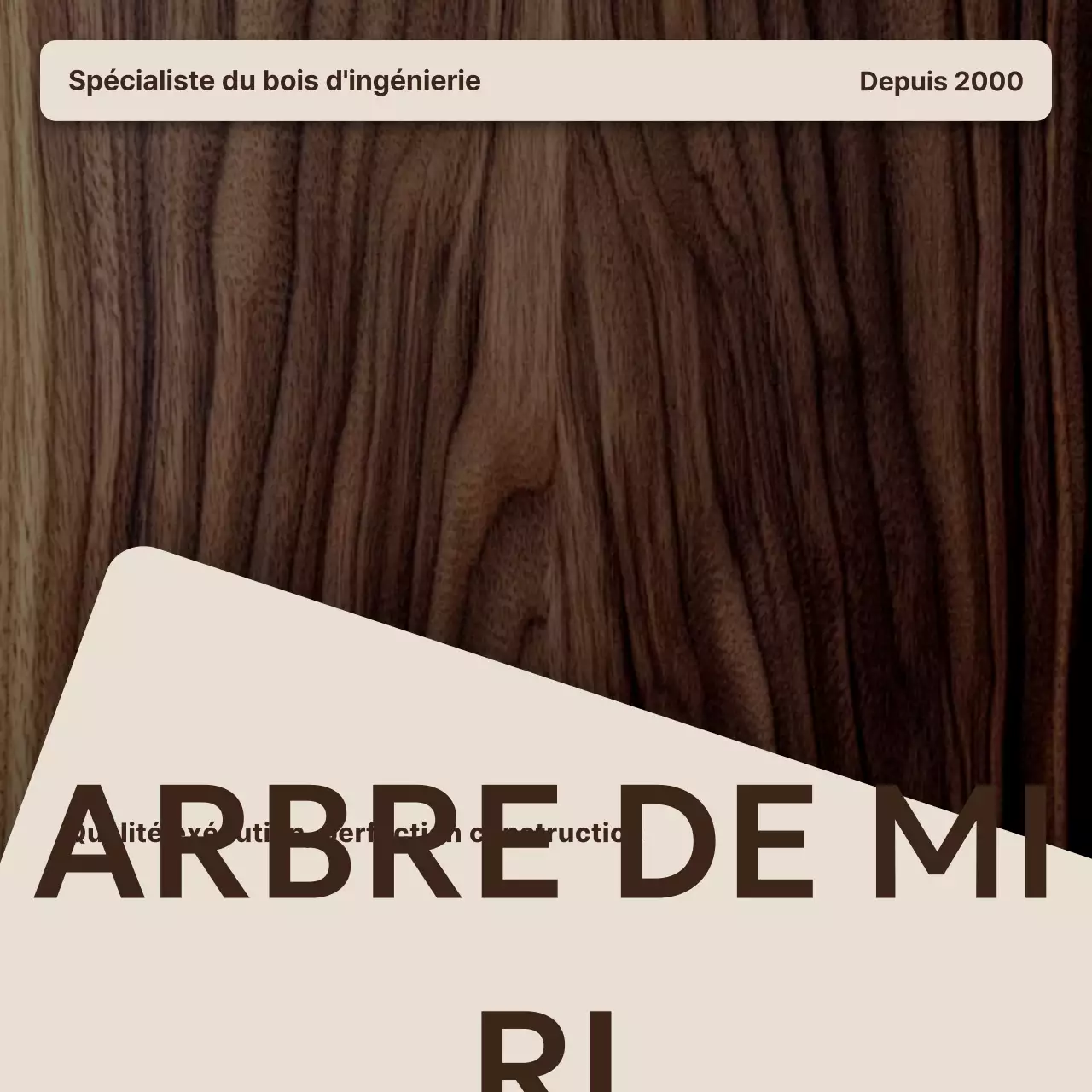 Publicité pour des meubles simples marron