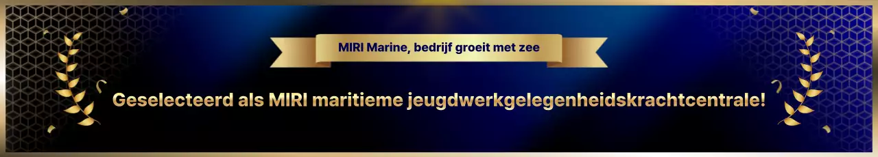 Blauwe Moderne Bedrijfspromotie