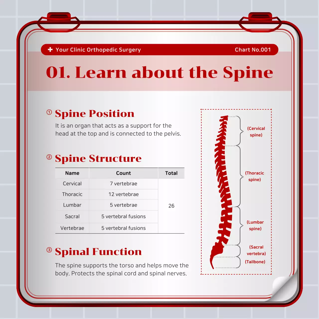 Red Professional Spine Guide Instagram Carousel