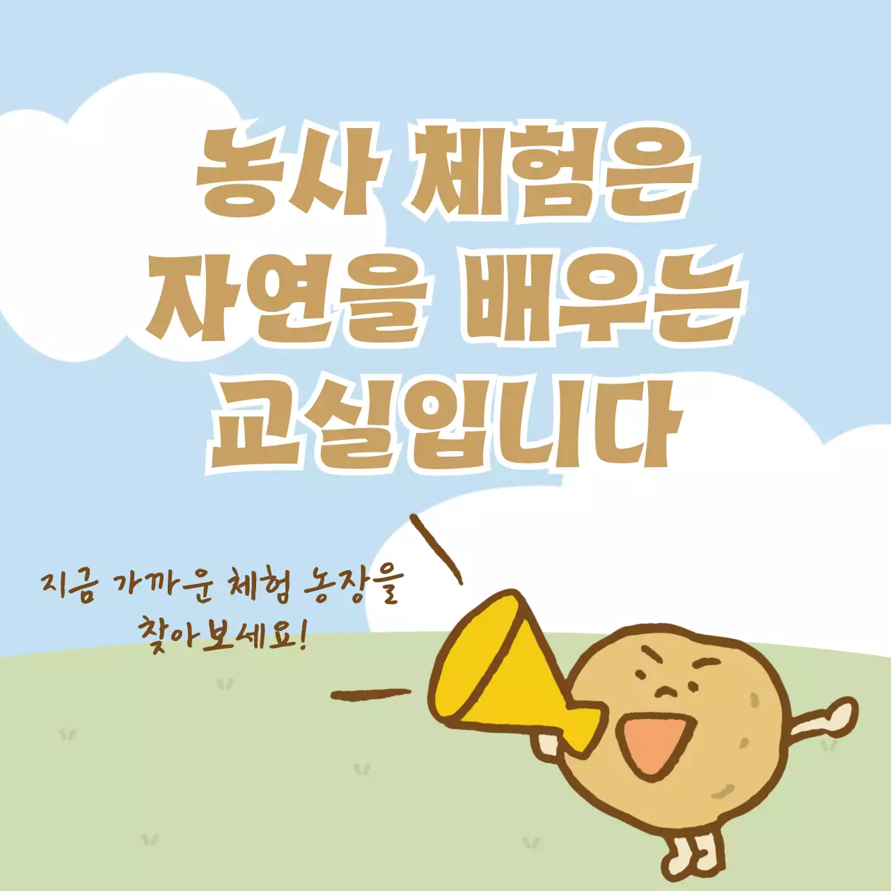 하늘색 아기자기한 농사 체험 프로그램 안내