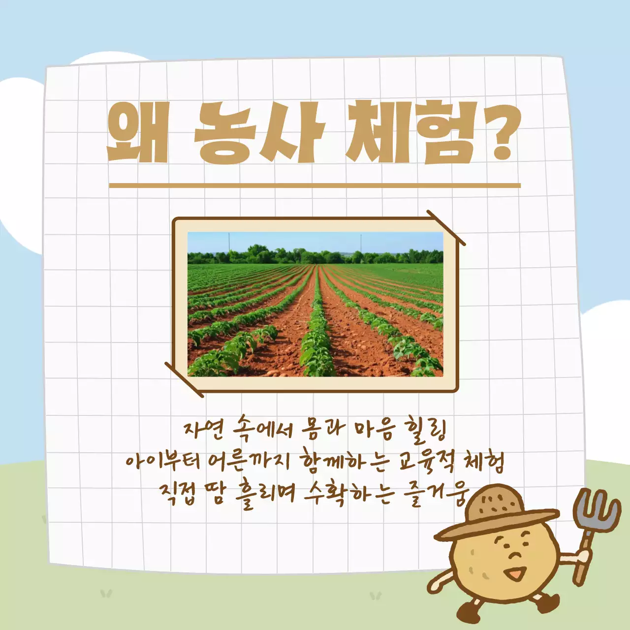하늘색 아기자기한 농사 체험 프로그램 안내