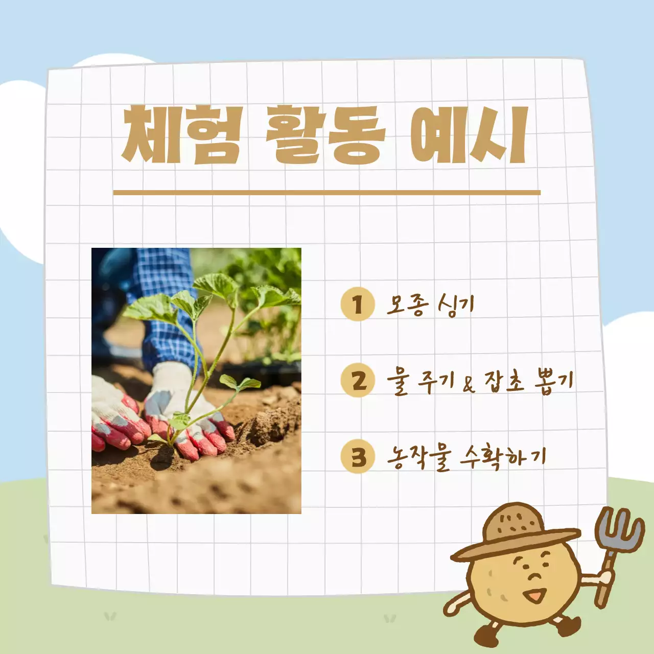 하늘색 아기자기한 농사 체험 프로그램 안내