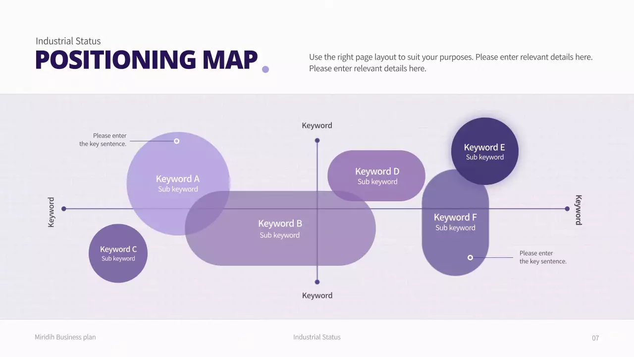 보라 모던 비즈니스 보고서