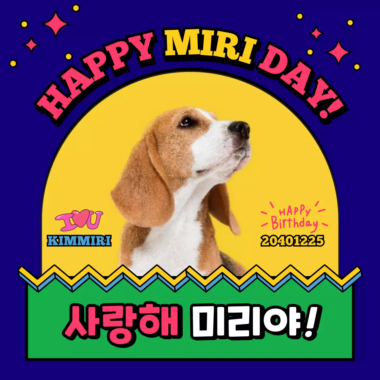 파랑과 노랑의 키치한 반려동물 생일 축하 카페 이벤트 홍보