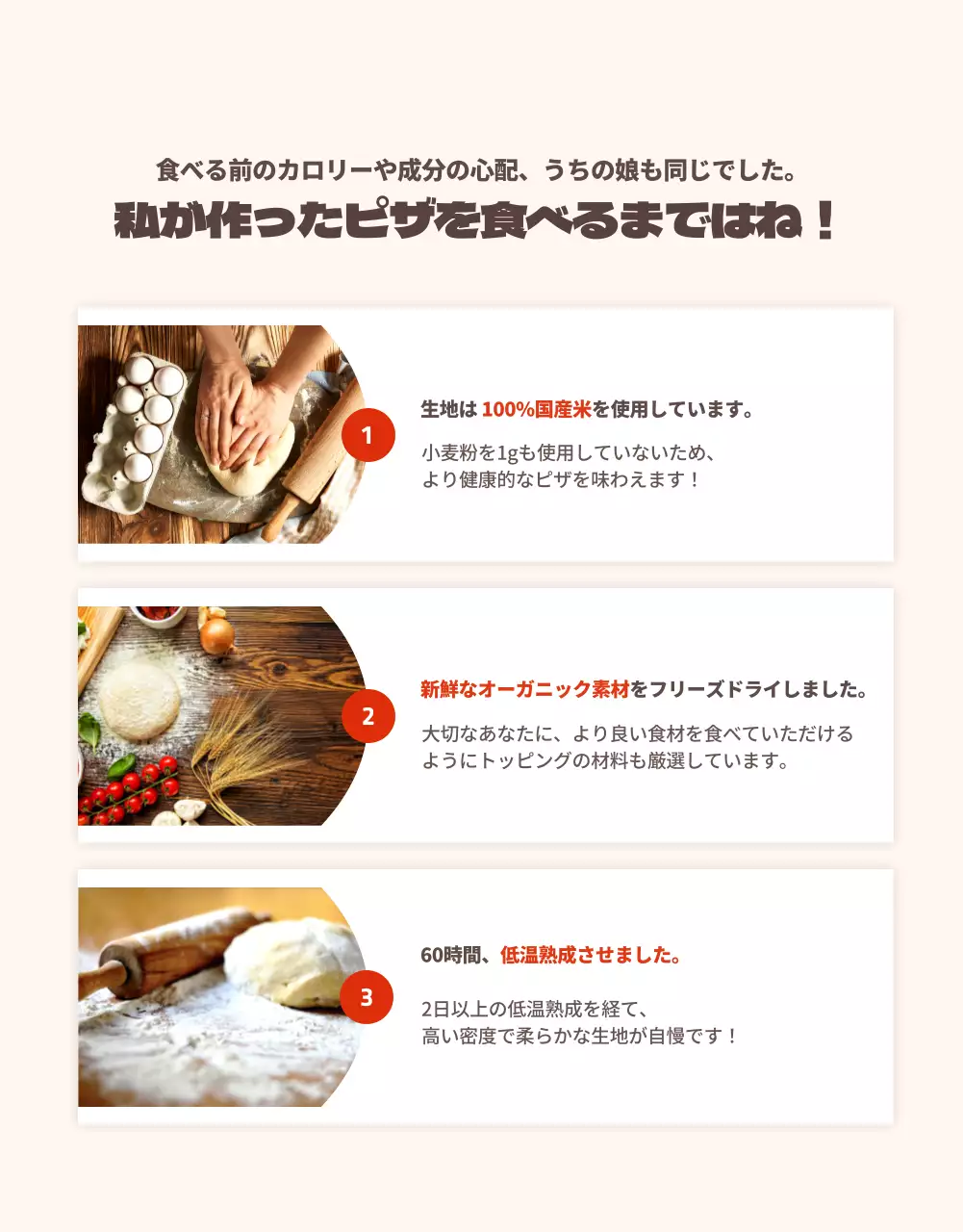 オレンジ モダン ピザ 資料 詳細ページ