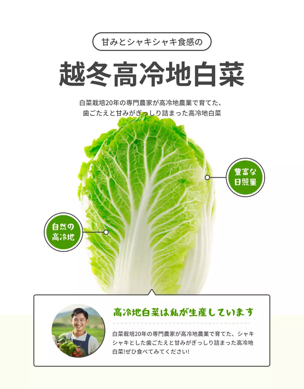 緑 シンプル 野菜 パンフレット 詳細ページ