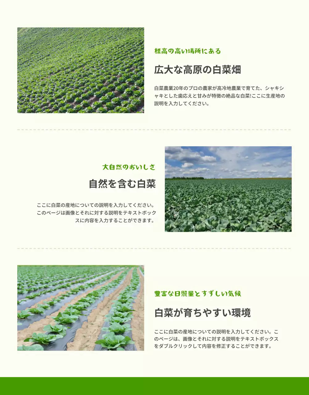 緑 シンプル 野菜 パンフレット 詳細ページ