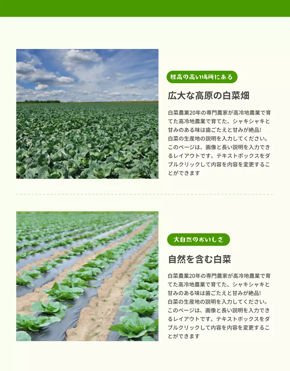 緑 シンプル 野菜 パンフレット 詳細ページ