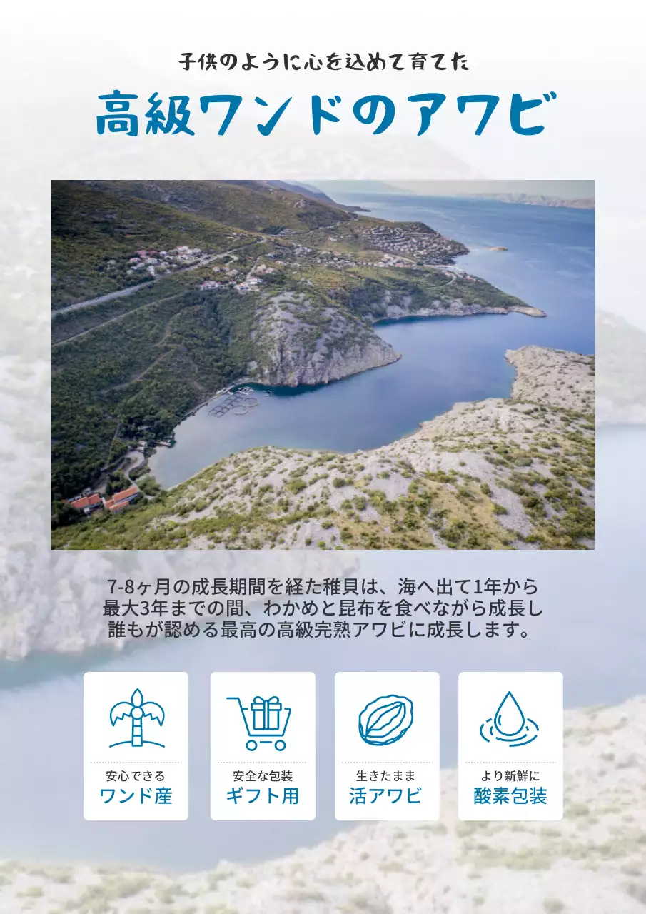 青 シンプル 海産物 パンフレット 詳細ページ