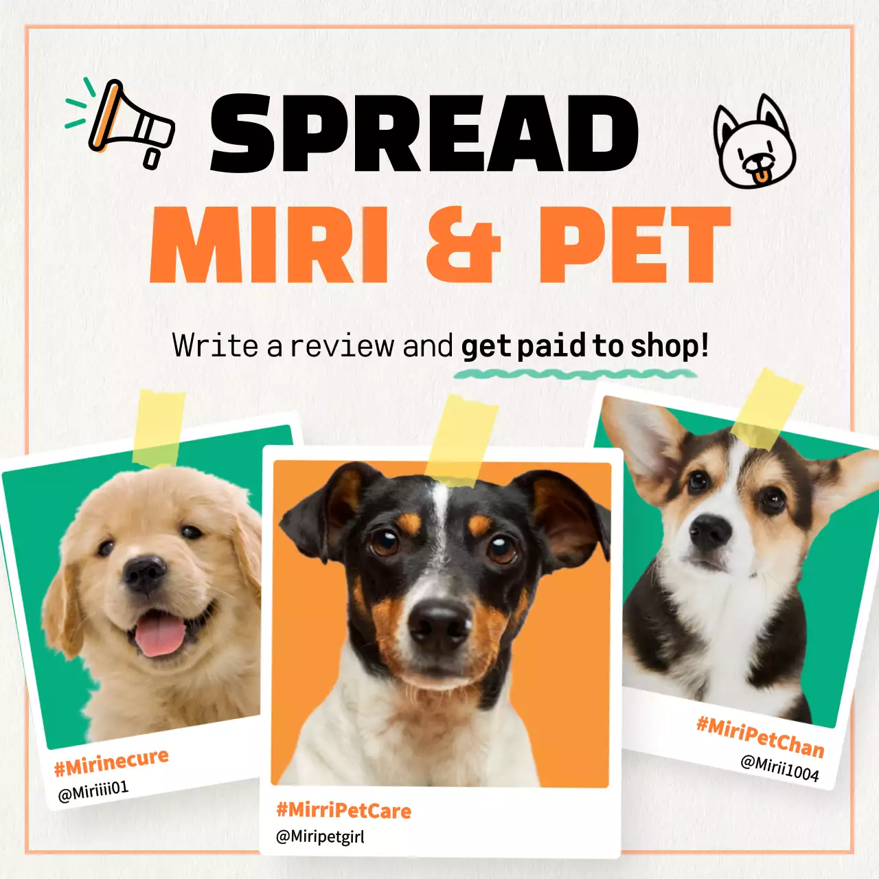 Promote orange, minimalist dog supplies marketing