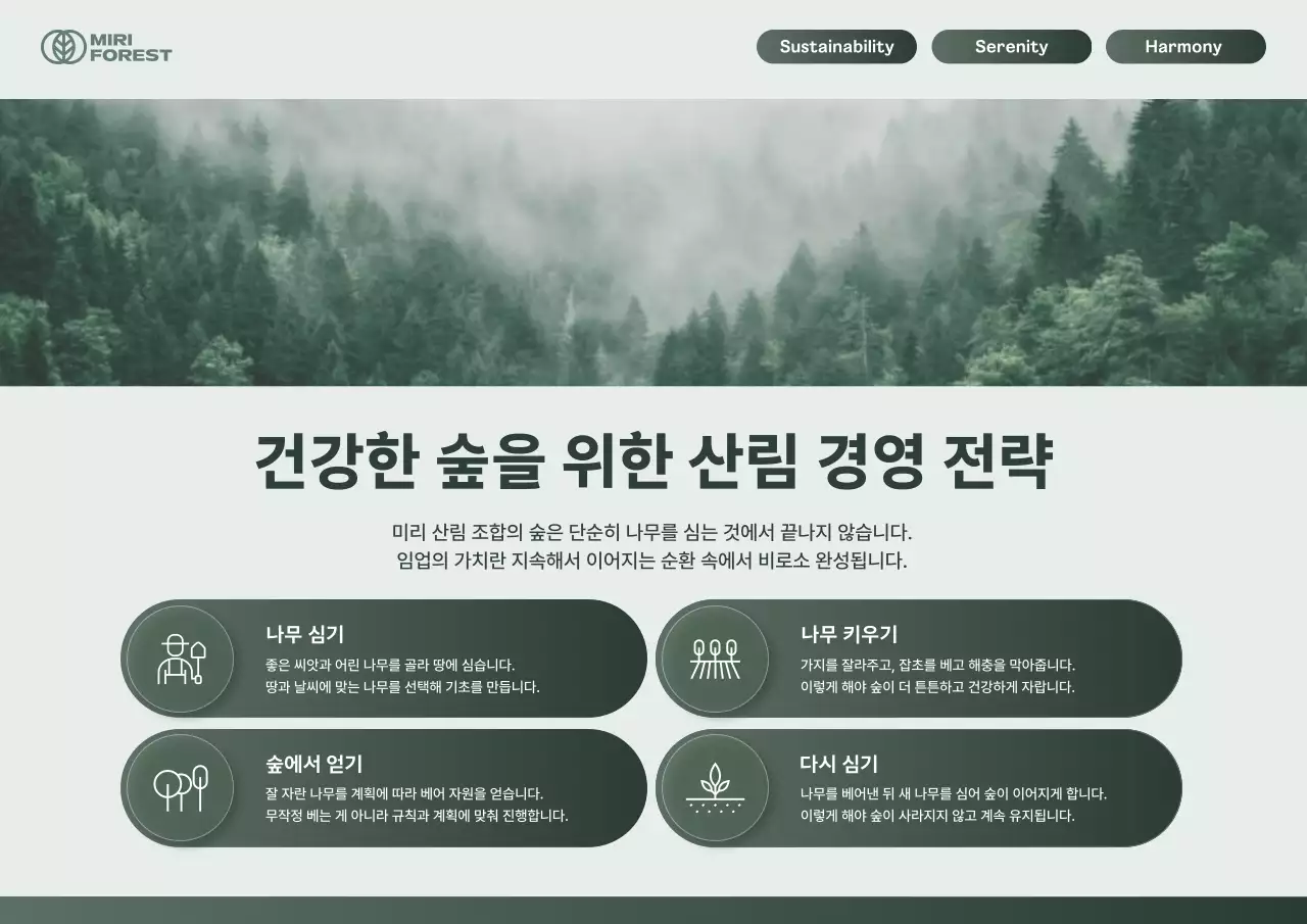 카키 깔끔 산림 경영 안내