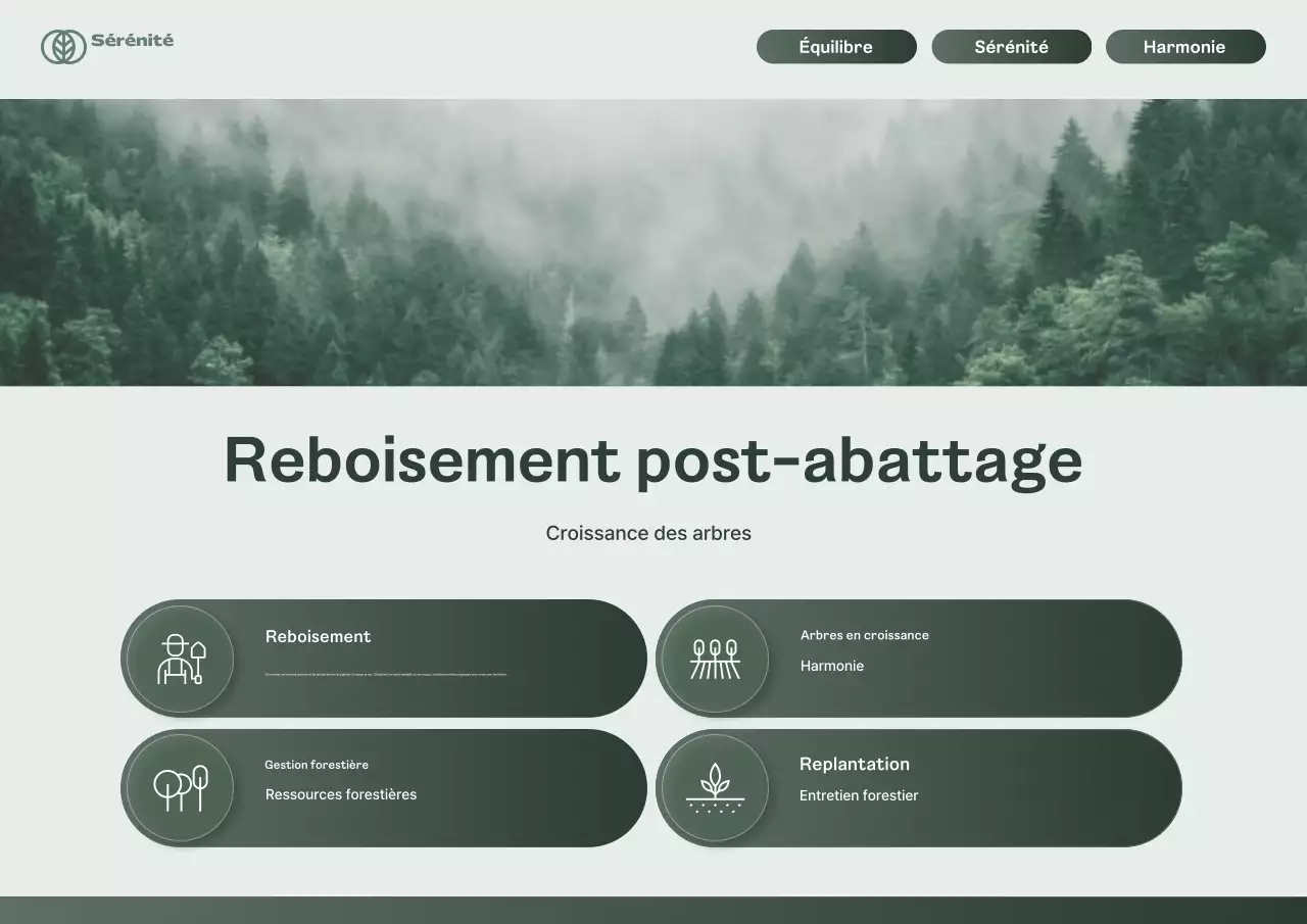 Guide de gestion de la forêt propre de Kaki