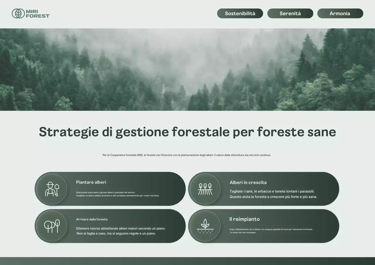 Guida alla gestione delle foreste pulite di Kaki
