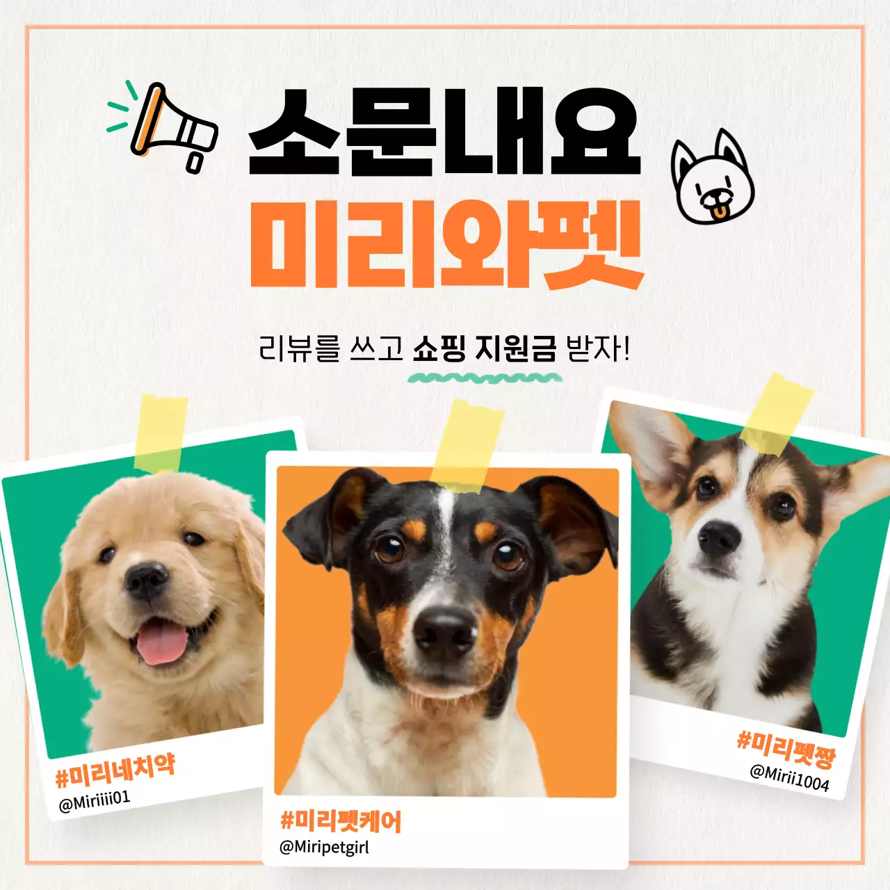 주황색의 미니멀한 강아지 용품 마케팅 홍보