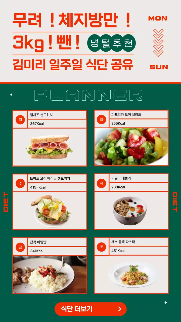 주황색과 그린 테마의 샐러드 일주일 식단