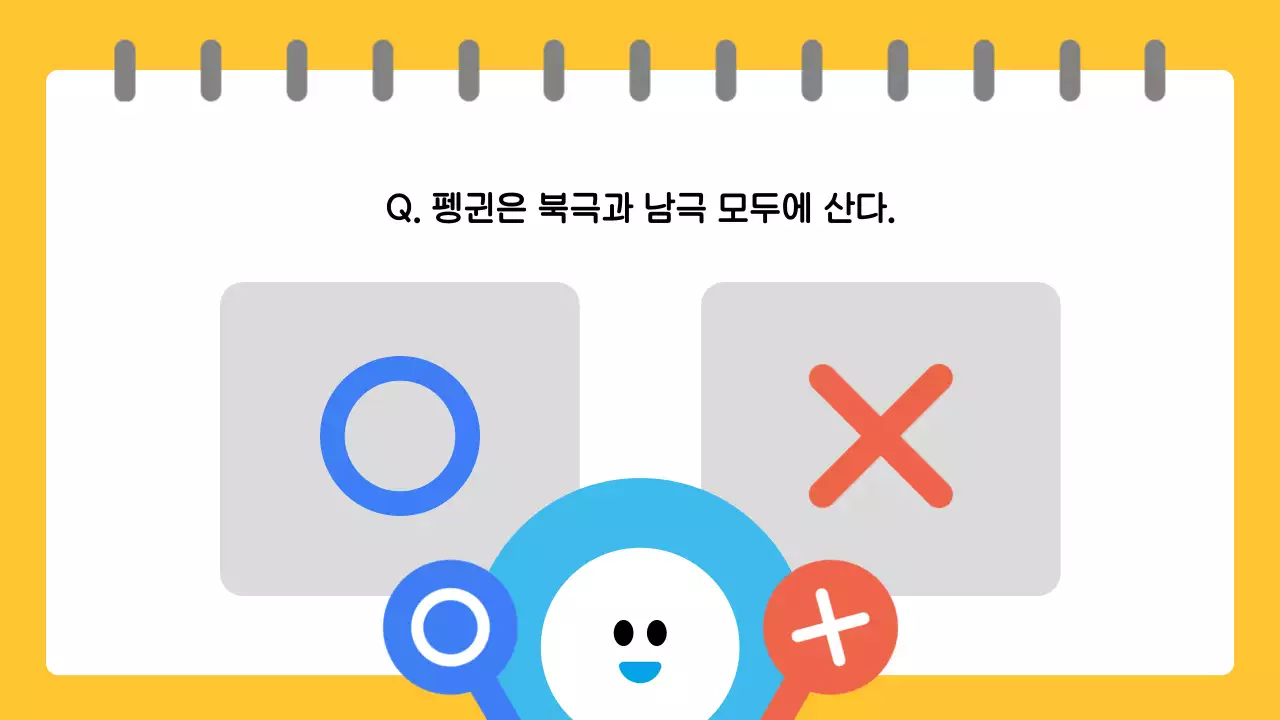 노랑 재밌는 교육용 퀴즈 게임
