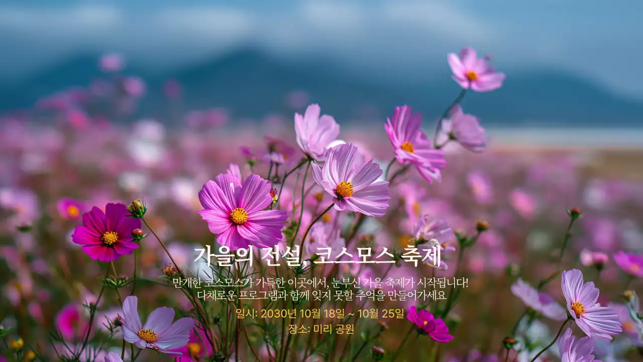 핑크빛 가을 코스모스 축제 홍보