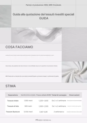 Guida industriale Gray Clean