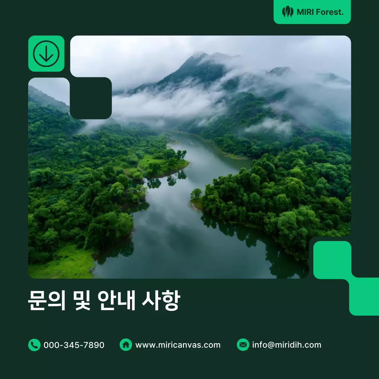 초록 자연 환경 포트폴리오