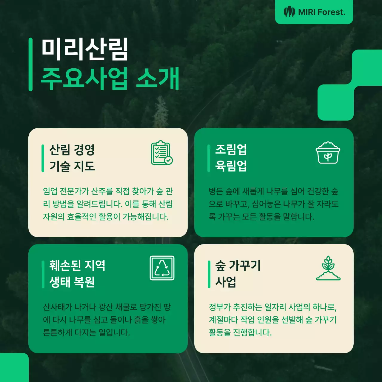 초록 자연 환경 포트폴리오