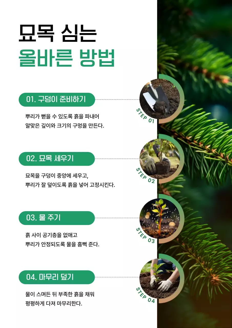 초록 심플 식물 관리 방법