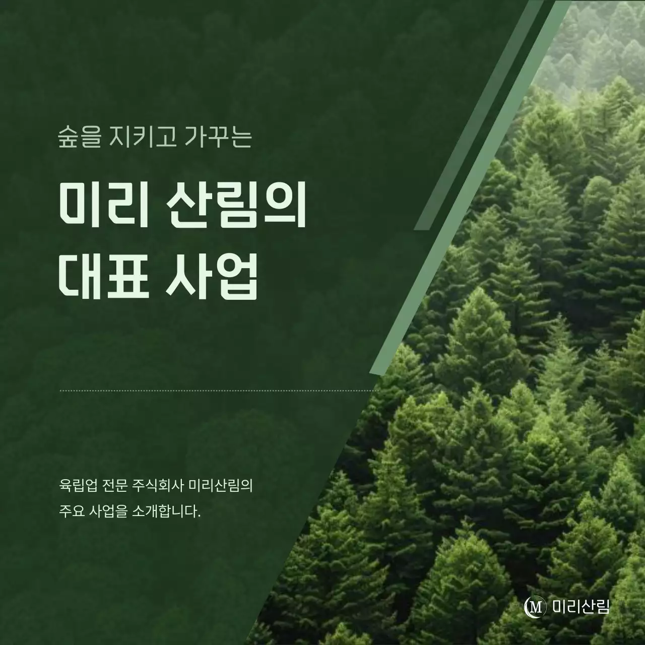 초록 자연 환경 보호 홍보