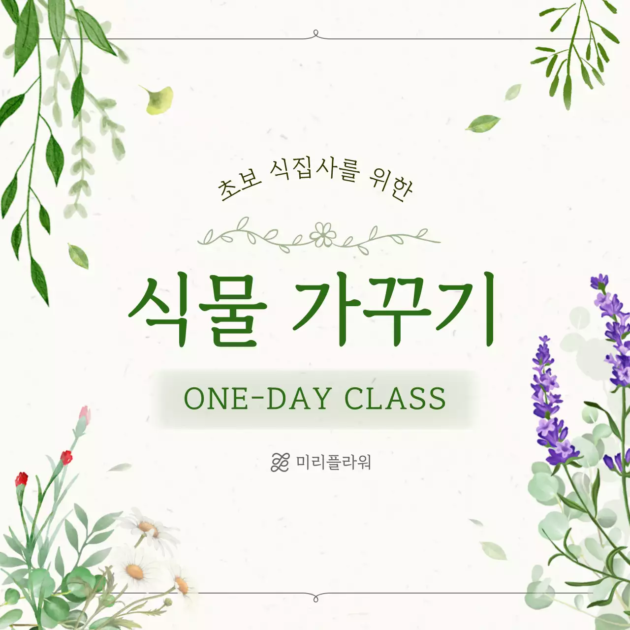 초록 자연 원예 원데이클래스 안내