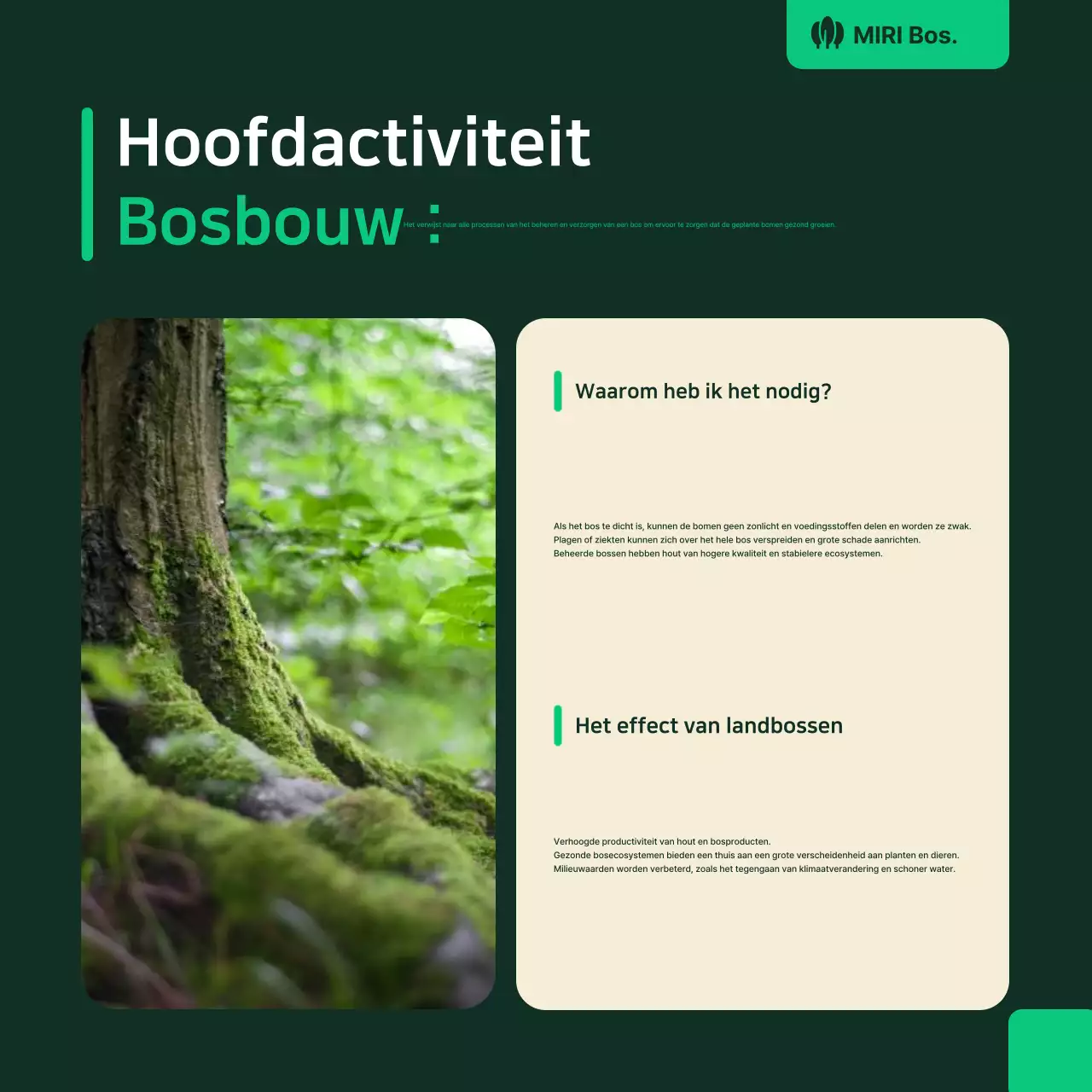 Groene natuurlijke omgevingsportefeuille